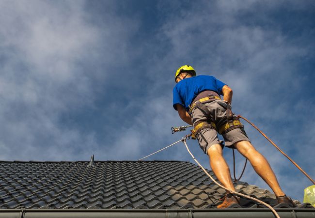 Roof painting